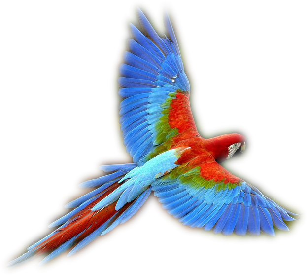 Afbeelding3 (623x557, 592Kb)